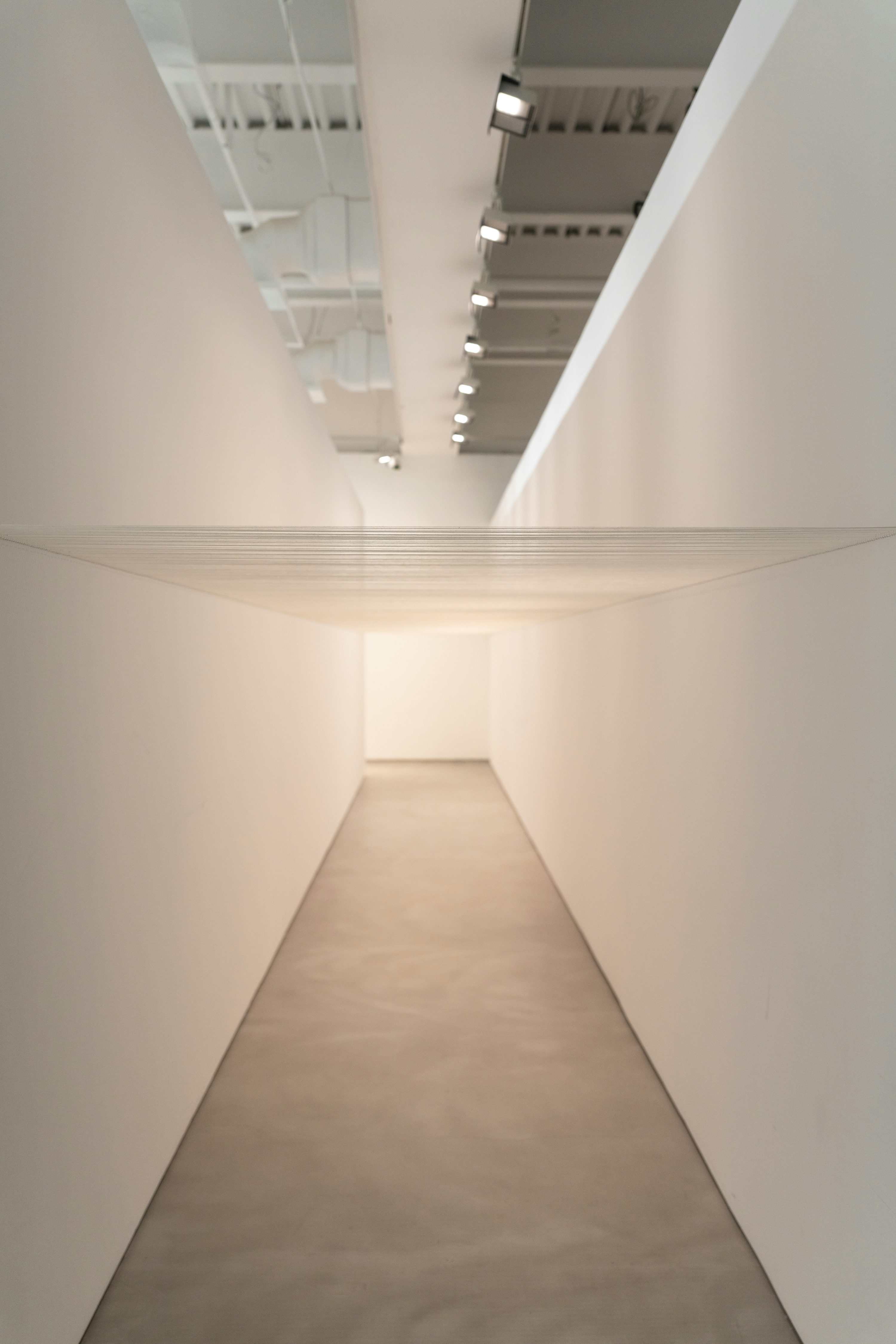 Gallery interior